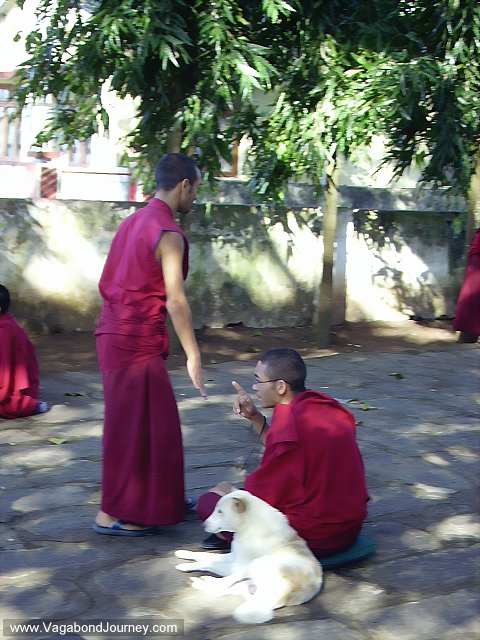 Monks And Nuns. Tibetan Buddhist monks