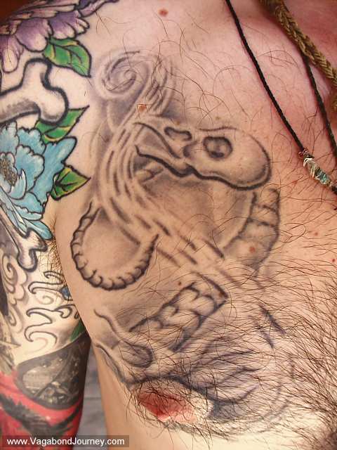 skeleton tattoos. a bird skeleton by Sergio