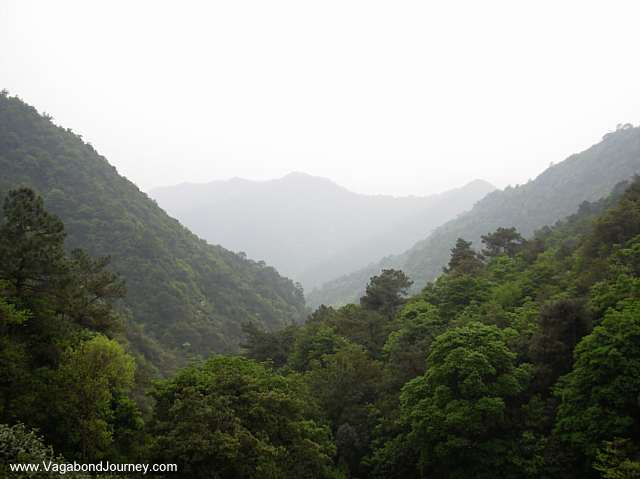 The mountains of China near Hangzhou.