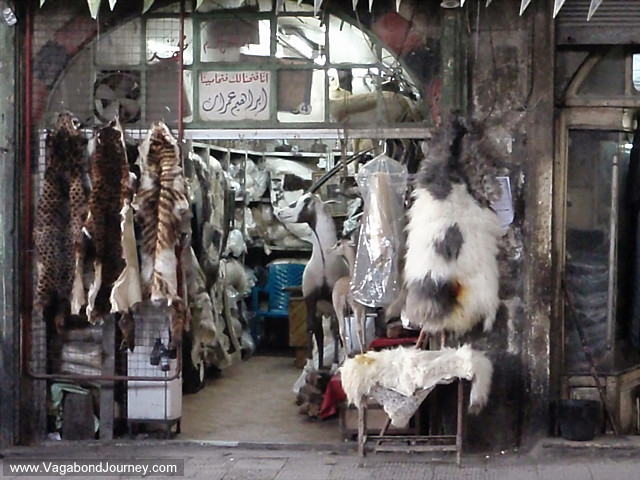 animal furs in souq of damascus