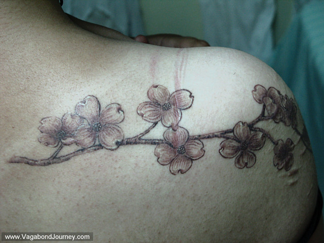 Cherry blossom tattoo done in Chiang Mai, Thailand.