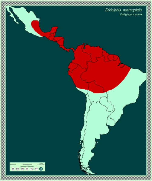 Map Of Belize And Guatemala. Mexico, Belize, Guatemala
