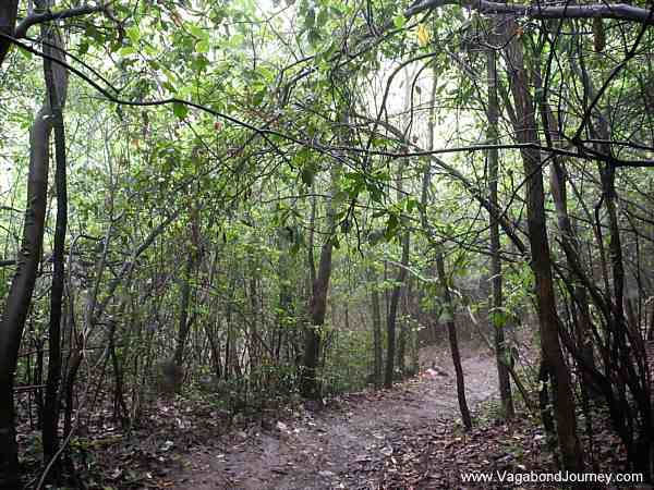 wulingyuan-hiking-trail