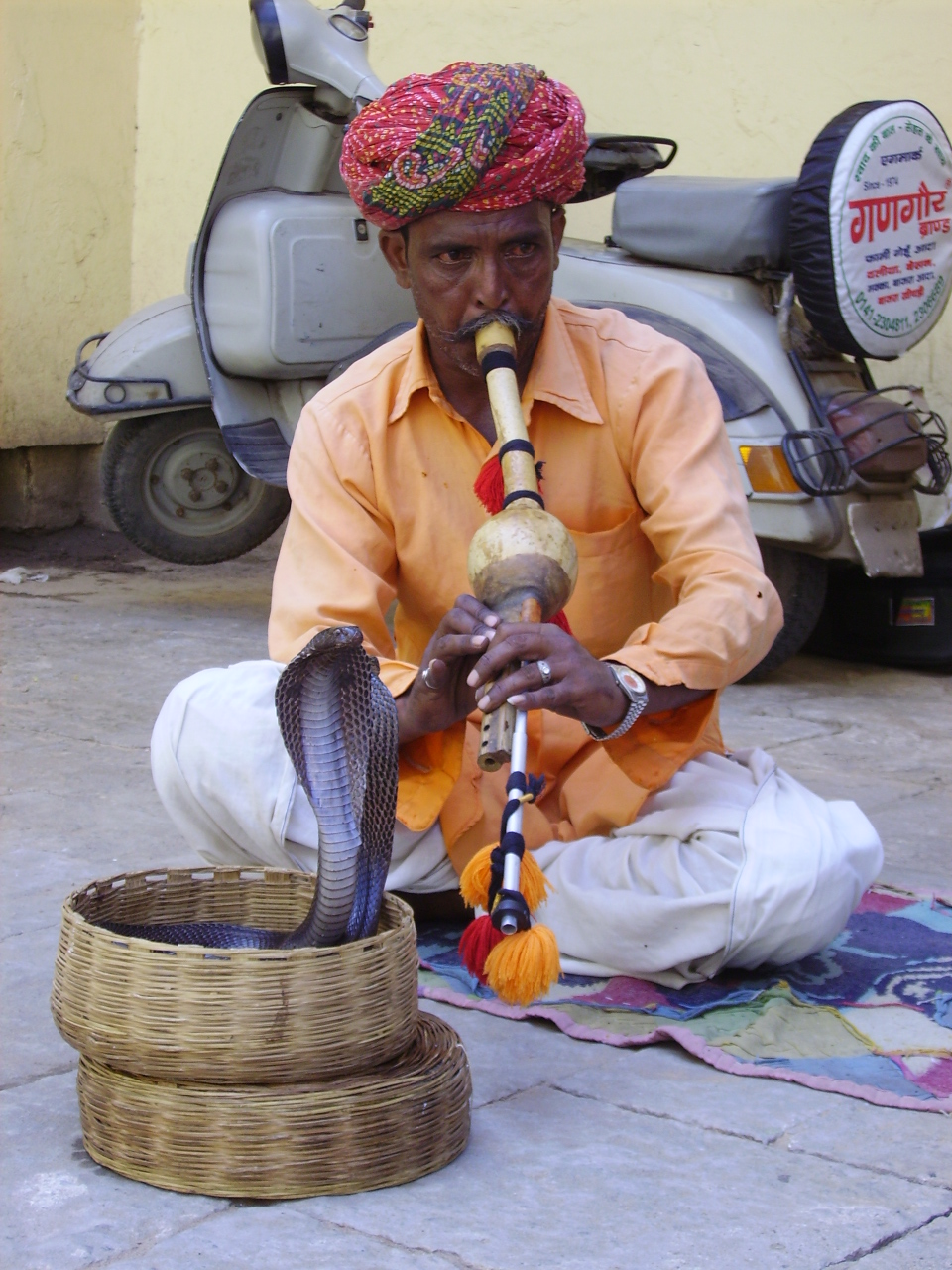 snake charmer in India